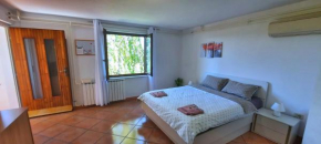 Apartment Burja